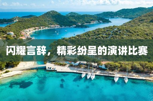闪耀言辞，精彩纷呈的演讲比赛