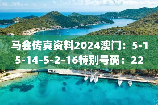 马会传真资料2024澳门：5-15-14-5-2-16特别号码：22