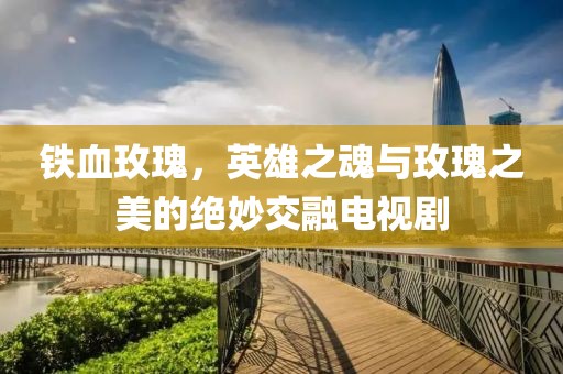 铁血玫瑰，英雄之魂与玫瑰之美的绝妙交融电视剧