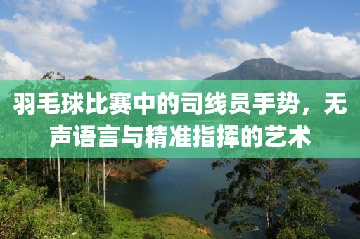 羽毛球比赛中的司线员手势，无声语言与精准指挥的艺术