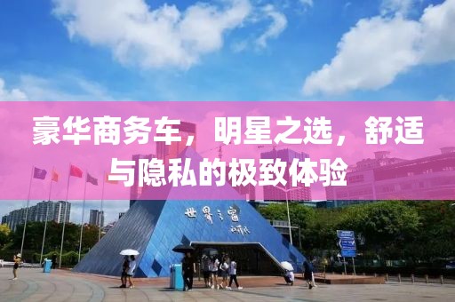 豪华商务车，明星之选，舒适与隐私的极致体验