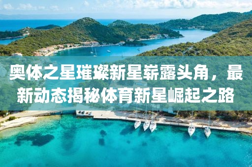 奥体之星璀璨新星崭露头角，最新动态揭秘体育新星崛起之路