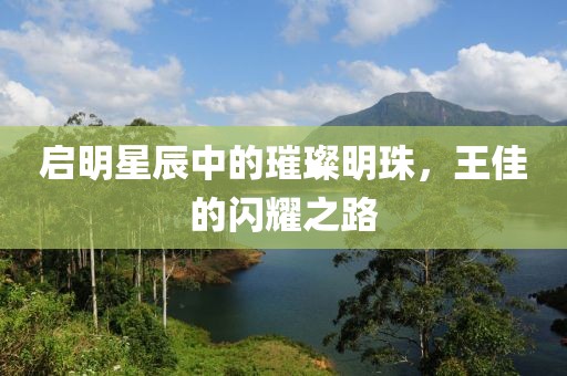 启明星辰中的璀璨明珠，王佳的闪耀之路