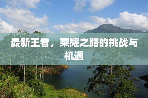 最新王者，荣耀之路的挑战与机遇