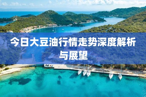 今日大豆油行情走势深度解析与展望