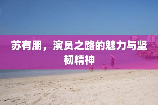苏有朋，演员之路的魅力与坚韧精神