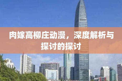 肉嫁高柳庄动漫，深度解析与探讨的探讨