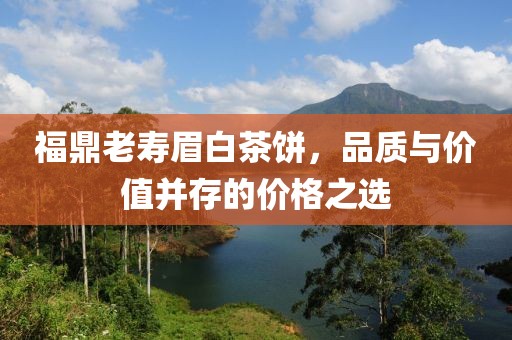 福鼎老寿眉白茶饼，品质与价值并存的价格之选