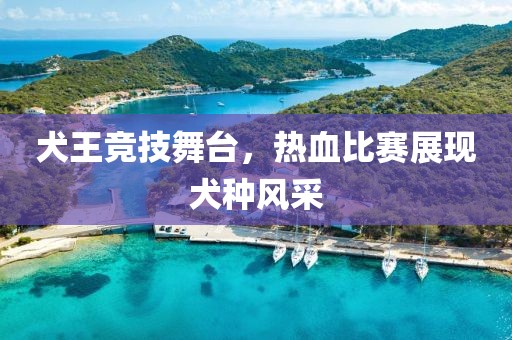犬王竞技舞台，热血比赛展现犬种风采