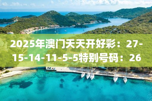 2025年澳门天天开好彩：27-15-14-11-5-5特别号码：26