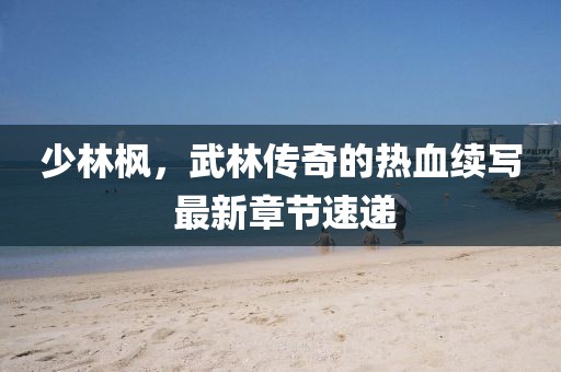 少林枫，武林传奇的热血续写 最新章节速递