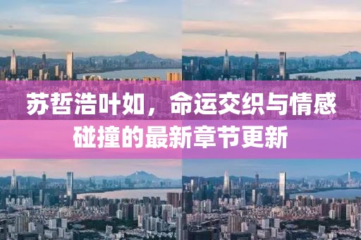 苏哲浩叶如，命运交织与情感碰撞的最新章节更新