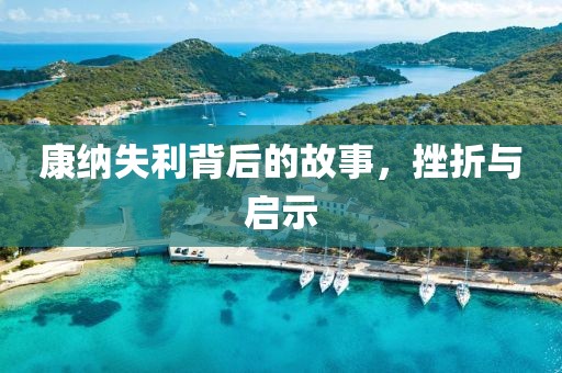 康纳失利背后的故事，挫折与启示