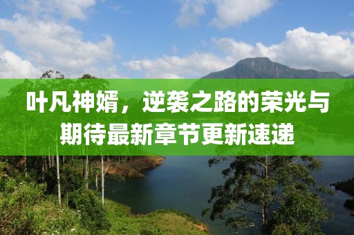 叶凡神婿，逆袭之路的荣光与期待最新章节更新速递