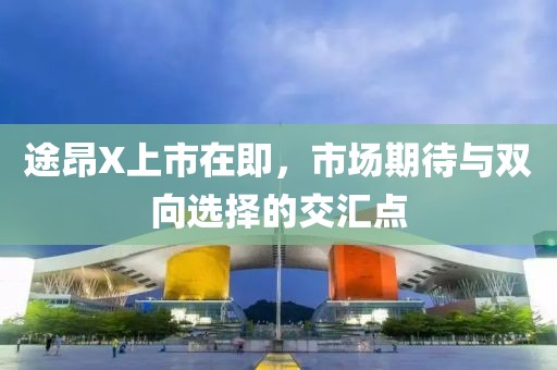 途昂X上市在即，市场期待与双向选择的交汇点