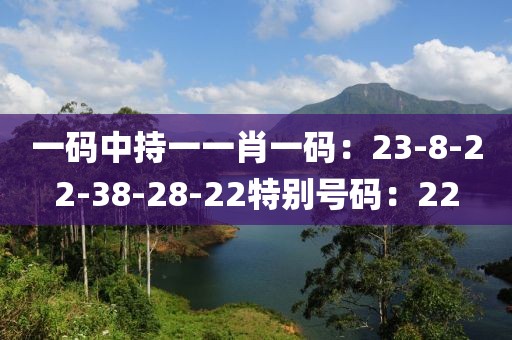 一码中持一一肖一码：23-8-22-38-28-22特别号码：22
