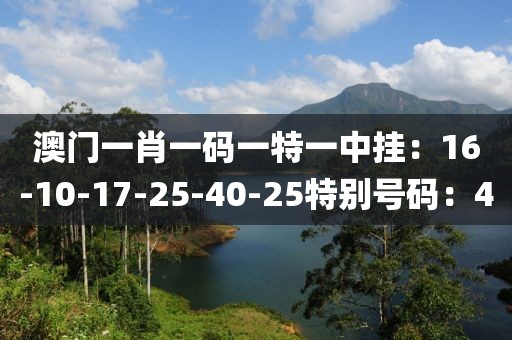 澳门一肖一码一特一中挂：16-10-17-25-40-25特别号码：40