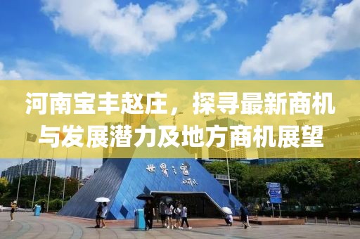 河南宝丰赵庄，探寻最新商机与发展潜力及地方商机展望