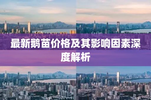 2025年5月5日 第12页