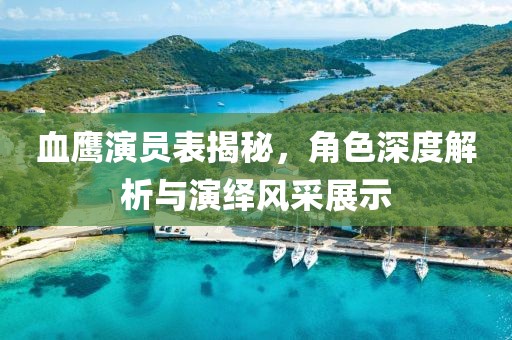 血鹰演员表揭秘，角色深度解析与演绎风采展示
