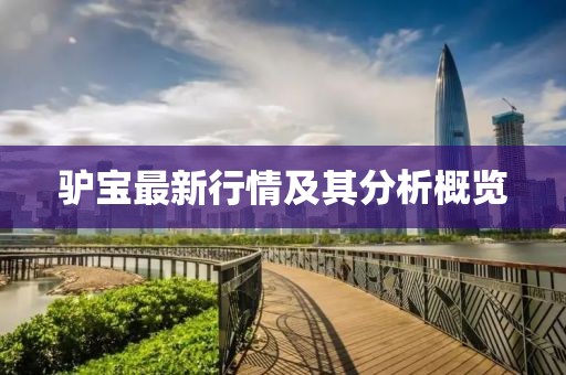驴宝最新行情及其分析概览