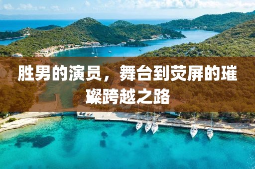 胜男的演员，舞台到荧屏的璀璨跨越之路
