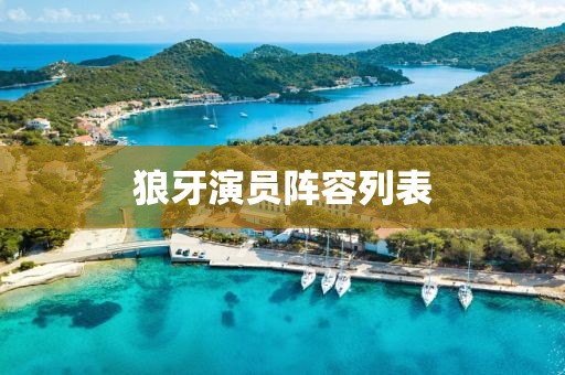 狼牙演员阵容列表