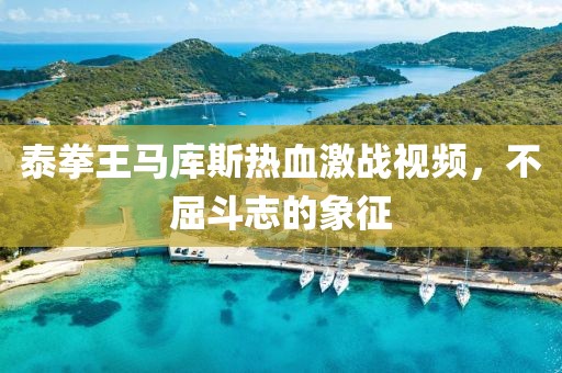 泰拳王马库斯热血激战视频，不屈斗志的象征