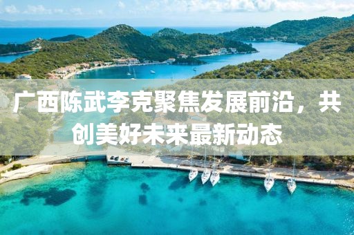 广西陈武李克聚焦发展前沿，共创美好未来最新动态