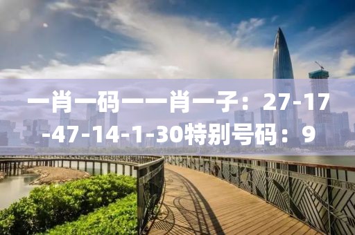 一肖一码一一肖一子：27-17-47-14-1-30特别号码：9