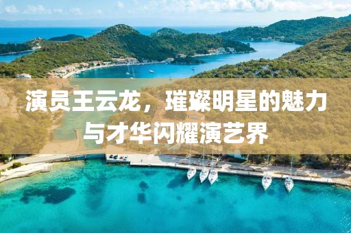 演员王云龙，璀璨明星的魅力与才华闪耀演艺界