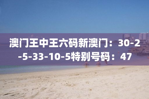 澳门王中王六码新澳门：30-2-5-33-10-5特别号码：47