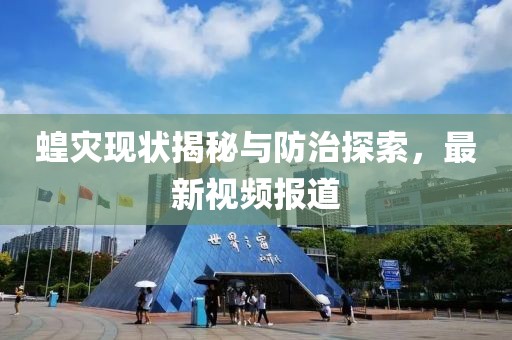蝗灾现状揭秘与防治探索，最新视频报道