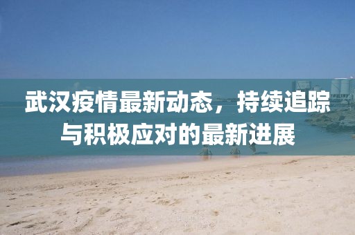 武汉疫情最新动态，持续追踪与积极应对的最新进展