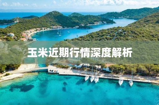 玉米近期行情深度解析