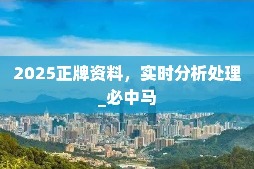 2025正牌资料，实时分析处理_必中马