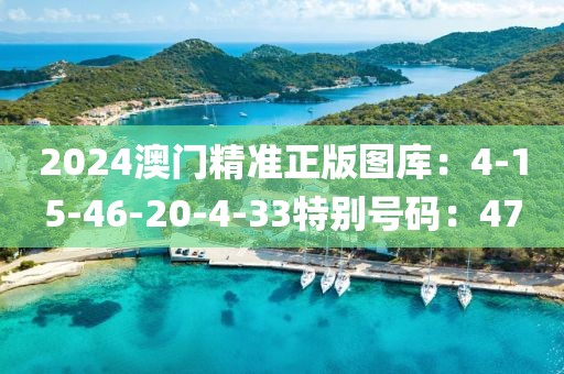 2024澳门精准正版图库：4-15-46-20-4-33特别号码：47