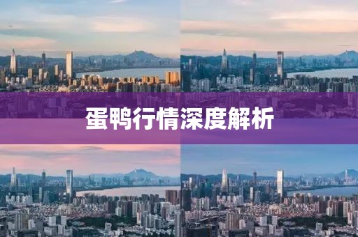 蛋鸭行情深度解析