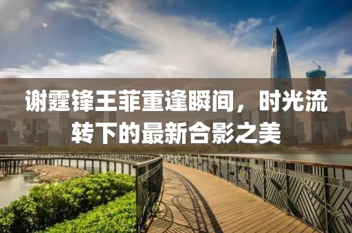 谢霆锋王菲重逢瞬间，时光流转下的最新合影之美
