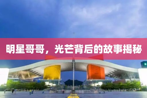明星哥哥，光芒背后的故事揭秘