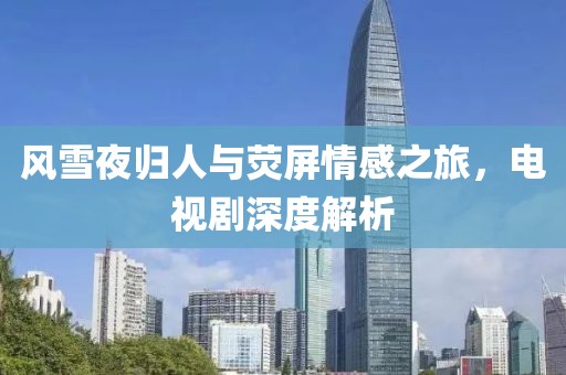 风雪夜归人与荧屏情感之旅，电视剧深度解析