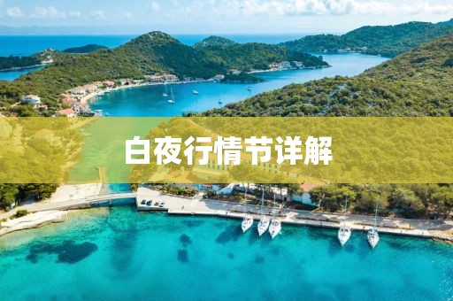 白夜行情节详解