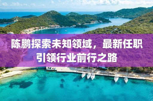 陈鹏探索未知领域，最新任职引领行业前行之路