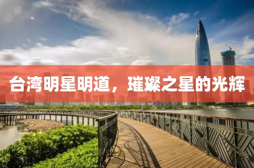 台湾明星明道，璀璨之星的光辉