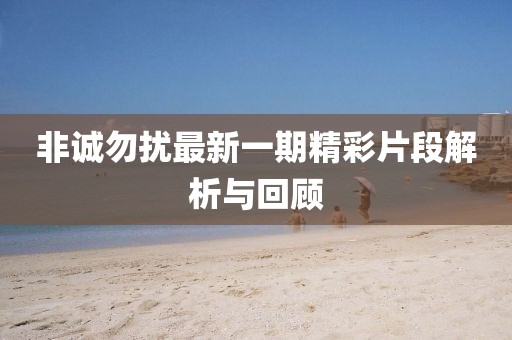 非诚勿扰最新一期精彩片段解析与回顾