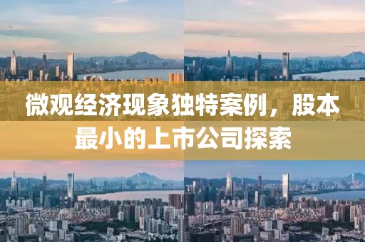 微观经济现象独特案例，股本最小的上市公司探索