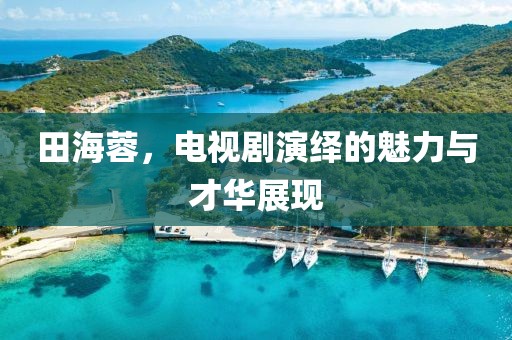 田海蓉，电视剧演绎的魅力与才华展现