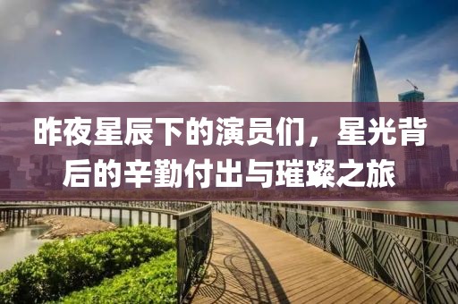 昨夜星辰下的演员们，星光背后的辛勤付出与璀璨之旅