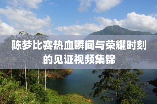 陈梦比赛热血瞬间与荣耀时刻的见证视频集锦