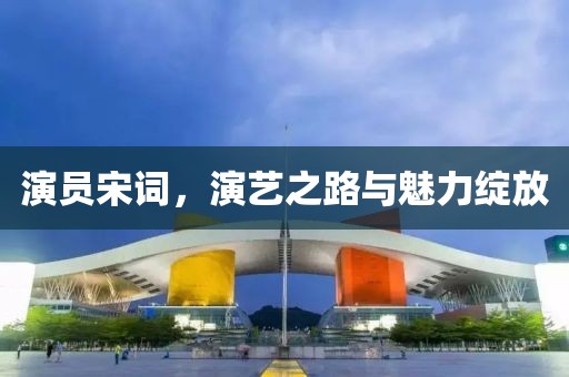 演员宋词，演艺之路与魅力绽放